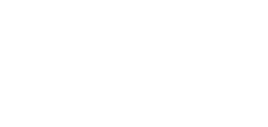 PUJIANG DINGSHENG DAILY NECESSITIES CO LTD